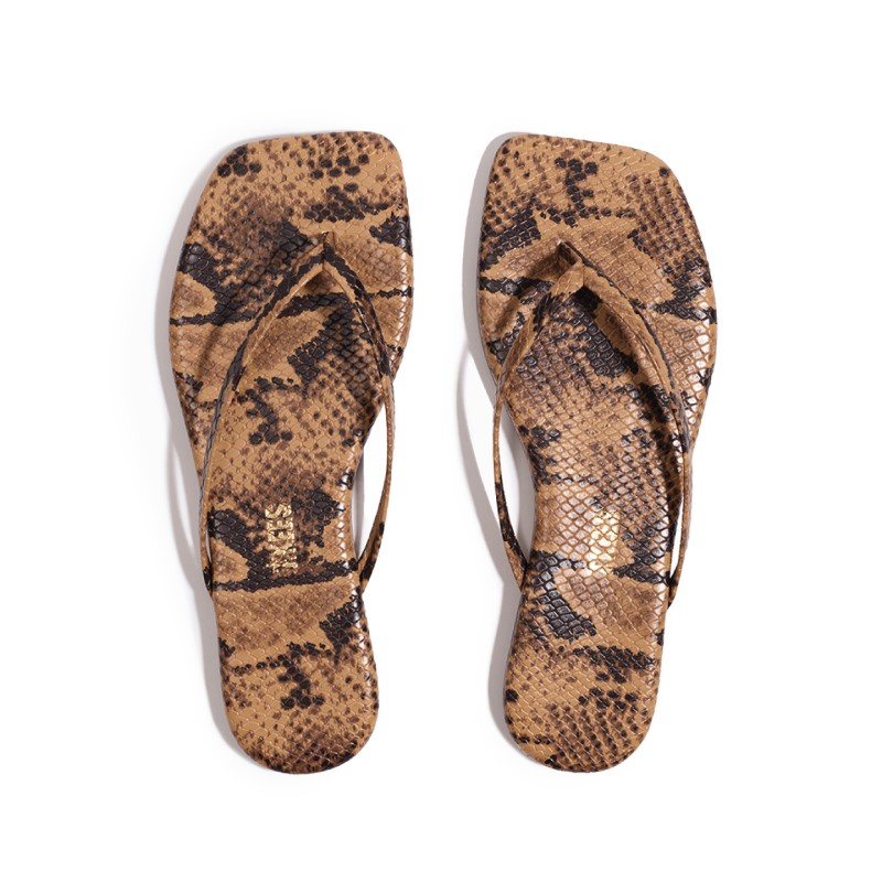 Square Toe Exotics